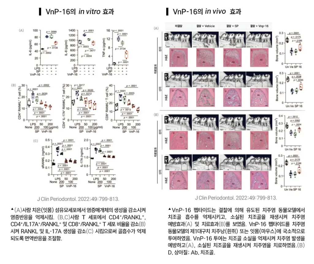 치주질환치료연구