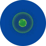 02D_IVD_02-